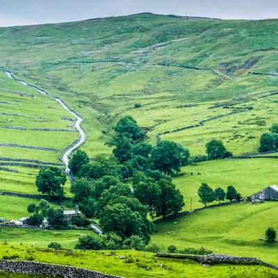 Green valley with stream and sheep.