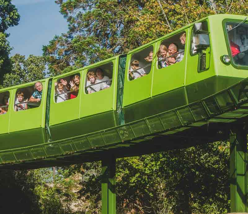 Monorail Guests enjoying a ride on a lime green elevated carriage.