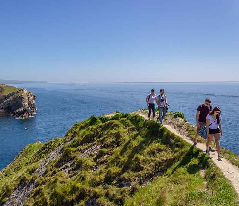 Hikers walking the cliff top with sea in the distance.