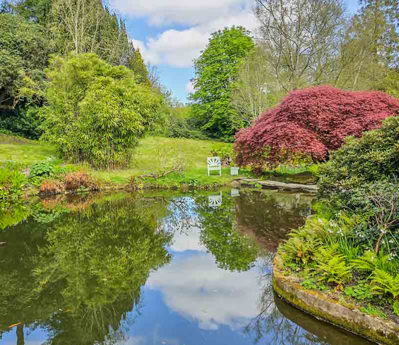 The lake at Chartwell Trees, bushes and sky reflected in the tranquil water.