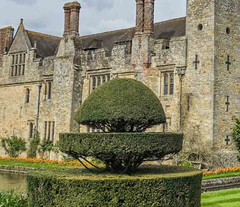 Shaped hedge in front of the building.