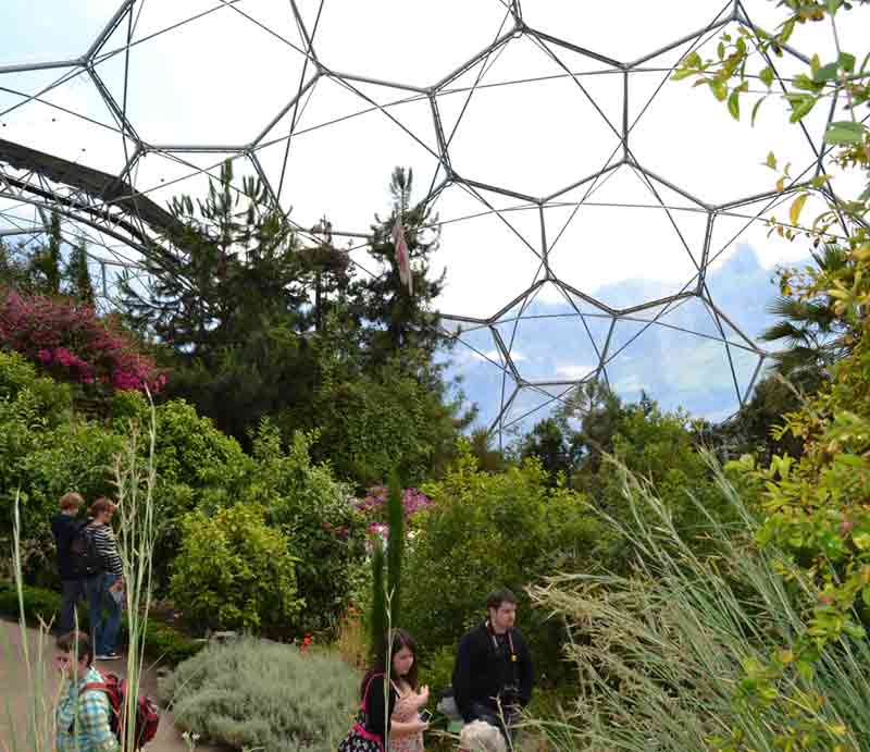 Plants and trees inside one of the giant domes.