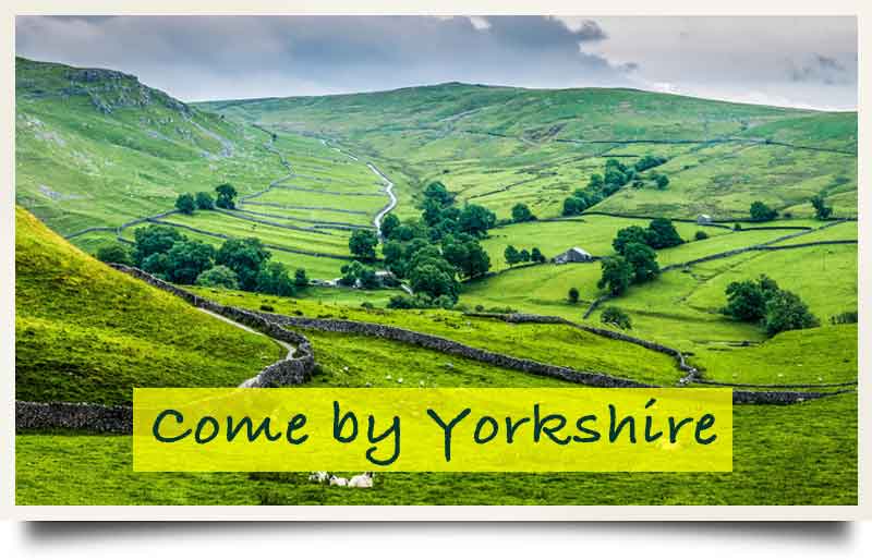 Green valley with stream and sheep with caption 'Come by Yorkshire'